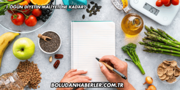 1 Öğün Diyetin Maliyeti Ne Kadar?