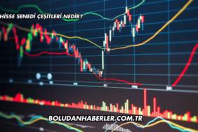 Hisse Senedi Çeşitleri Nedir?
