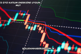 Ahes GYO Katılım Endeksine Uygun mu?