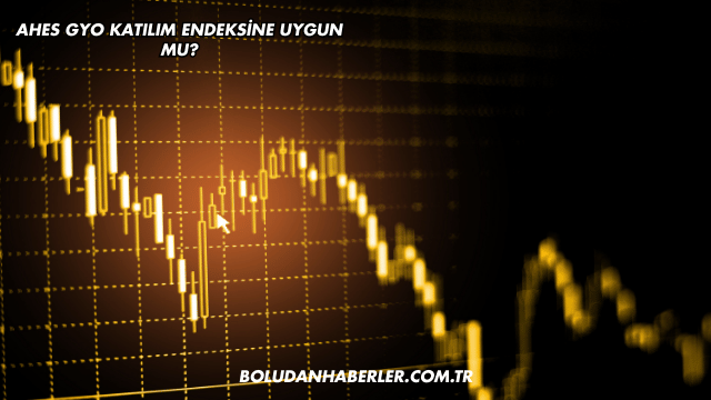 Ahes GYO Katılım Endeksine Uygun mu?