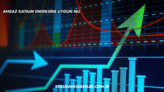 Ahgaz Katılım Endeksine Uygun mu?