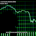 Artemis Halı Katılım Endeksine Uygun mu?