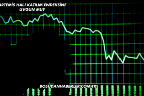 Artemis Halı Katılım Endeksine Uygun mu?