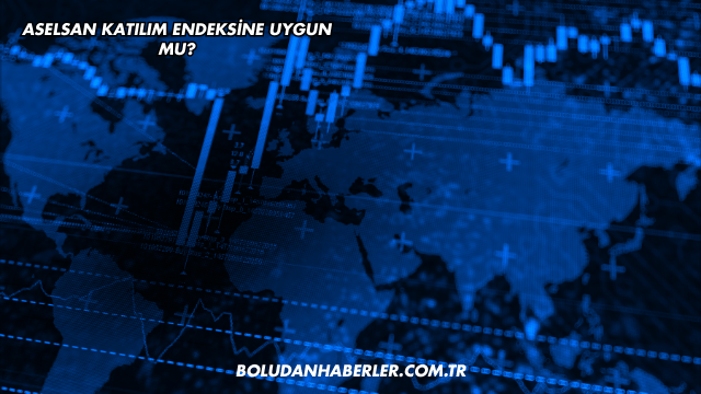 Aselsan Katılım Endeksine Uygun mu?