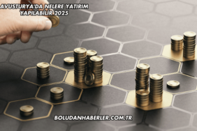 Avusturya'da Nelere Yatırım Yapılabilir 2025