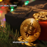 Bitcoin Cash (BCH) Nedir?