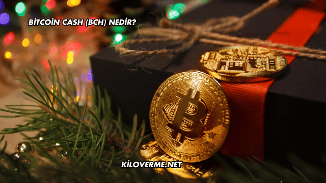 Bitcoin Cash (BCH) Nedir?