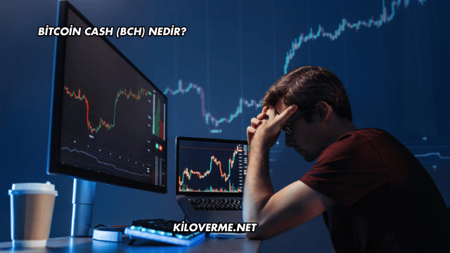 Bitcoin Cash (BCH) Nedir?