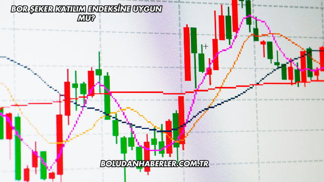 Bor Şeker Katılım Endeksine Uygun mu?