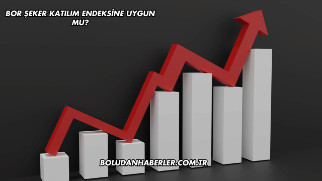 Bor Şeker Katılım Endeksine Uygun mu?