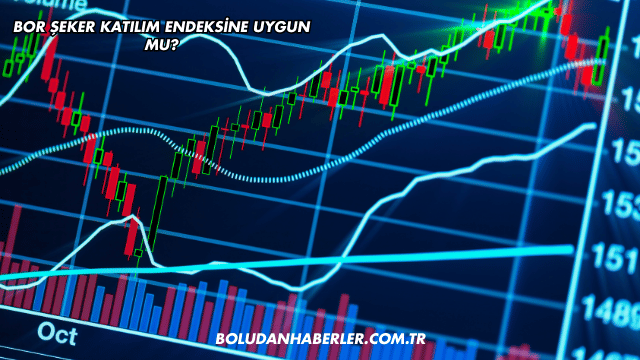 Bor Şeker Katılım Endeksine Uygun mu?