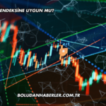 Borsa Katılım Endeksine Uygun mu?