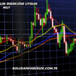 Borusan Katılım Endeksine Uygun mu?