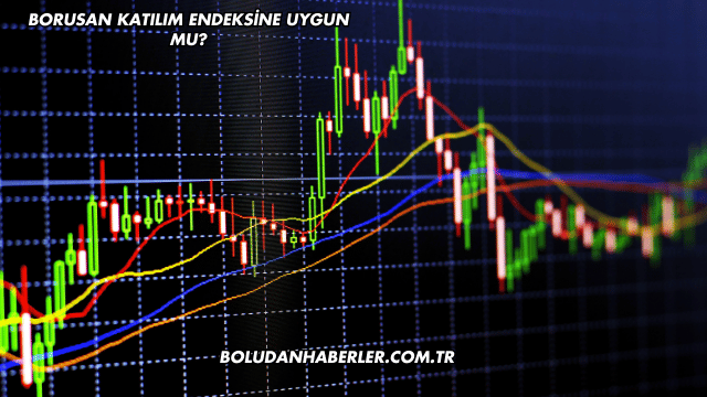 Borusan Katılım Endeksine Uygun mu?