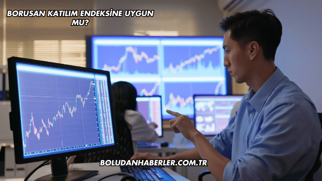 Borusan Katılım Endeksine Uygun mu?