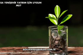 Bursa Yenişehir Yatırım İçin Uygun mu?