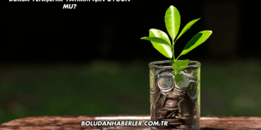 Bursa Yenişehir Yatırım İçin Uygun mu?