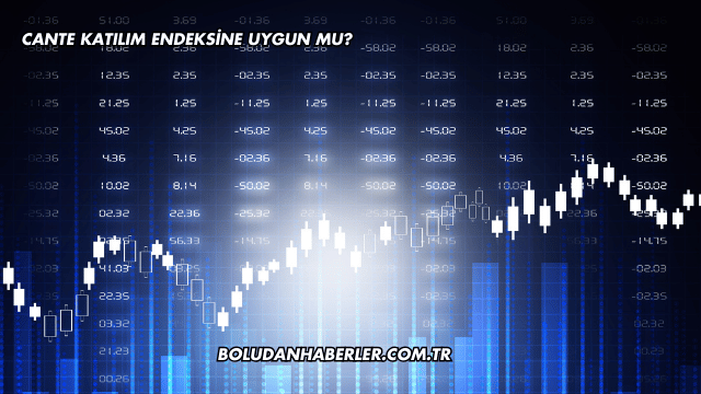CANTE Katılım Endeksine Uygun mu?