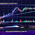 ÇATES Katılım Endeksine Uygun mu?