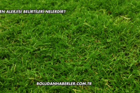 Çimen Alerjisi Belirtileri Nelerdir?