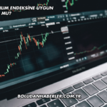 DCT Trading Katılım Endeksine Uygun mu?