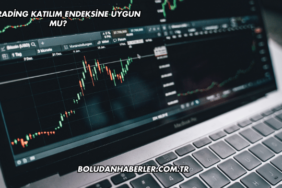 DCT Trading Katılım Endeksine Uygun mu?