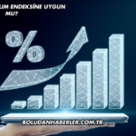 Enerjisa Katılım Endeksine Uygun mu?