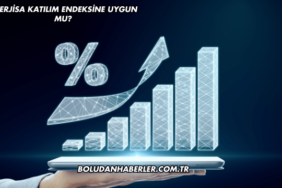 Enerjisa Katılım Endeksine Uygun mu?