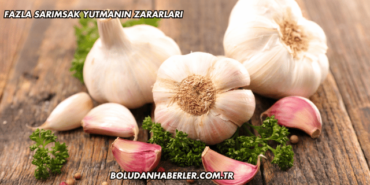 Fazla Sarımsak Yutmanın Zararları