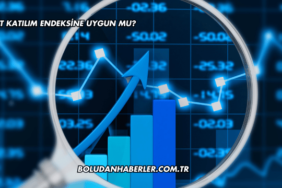 Fonet Katılım Endeksine Uygun mu?