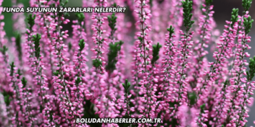 Funda Suyunun Zararları Nelerdir?