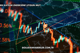 GESAN Katılım Endeksine Uygun mu?