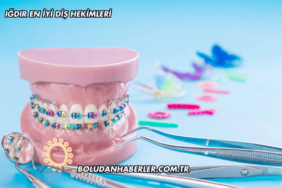 Iğdır En İyi Diş Hekimleri