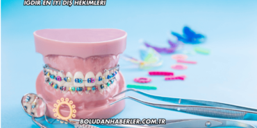 Iğdır En İyi Diş Hekimleri