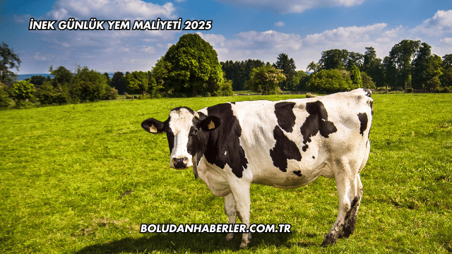 İnek Günlük Yem Maliyeti 2025