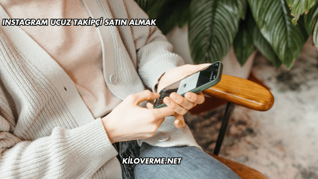 Instagram Ucuz Takipçi Satın Almak