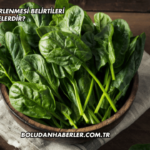 Ispanak Zehirlenmesi Belirtileri Nelerdir?