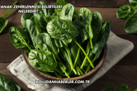 Ispanak Zehirlenmesi Belirtileri Nelerdir?