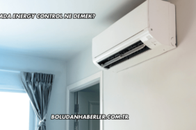 Klimada Energy Control Ne Demek?