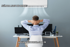 Klimada Fast Ne Demek?