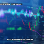 Kozal Katılım Endeksine Uygun mu?