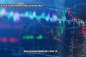 Kozal Katılım Endeksine Uygun mu?