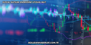 Kozal Katılım Endeksine Uygun mu?
