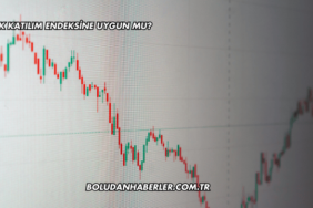 Limak Katılım Endeksine Uygun mu?