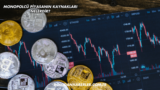 Monopolcü Piyasanın Kaynakları Nelerdir?
