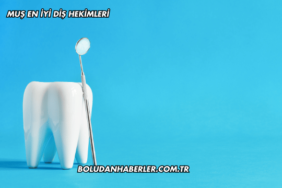 Muş En İyi Diş Hekimleri