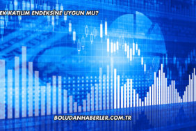Patek Katılım Endeksine Uygun mu?
