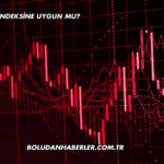 Petkim Katılım Endeksine Uygun mu?