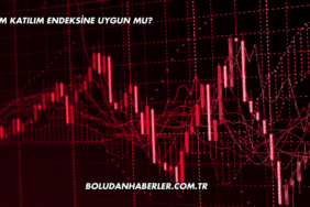 Petkim Katılım Endeksine Uygun mu?