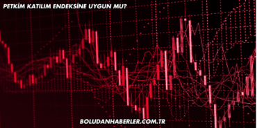 Petkim Katılım Endeksine Uygun mu?